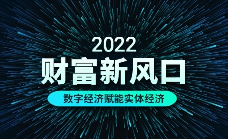 数字商品是数字经济财富风口的黑马