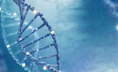 生物技术巨头Macrogen计划在区块链上安全地共享基因数据
