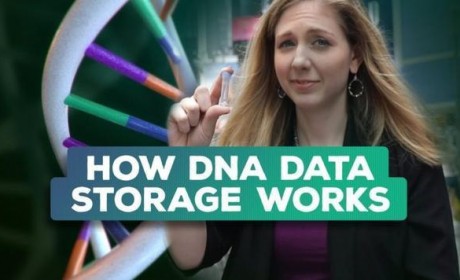 比特币私钥存储新方式——DNA存储