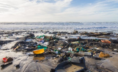 区块链被用于应对全球海洋塑料危机