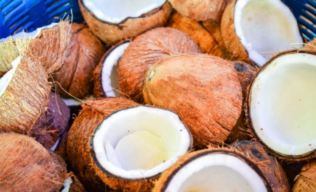 加密货币巨头比特大陆推出开源KYC软件工具‘Coconut’