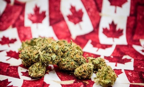 加拿大将研究在线市场加密货币大麻交易