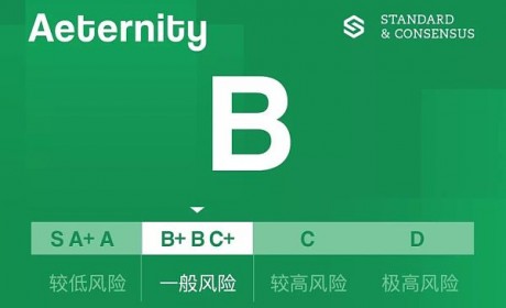 Aeternity 主网仍未上线｜标准共识评级调整