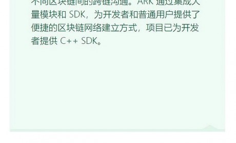 侧链技术项目 Ark 开发进度良好｜标准共识评级短报合集