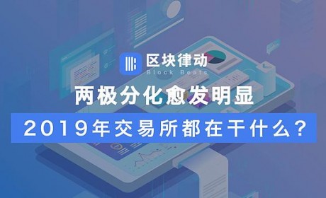 两极分化愈发明显 2019年交易所都在干什么？