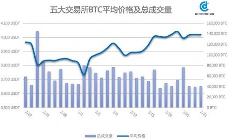 Chaindigg BTC数据周报(2019年第11期 总第23期）