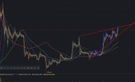 蛟龙出海BCH与辣条二龙戏珠