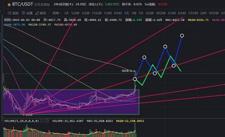 BCH耀动全场主流币集体爆发