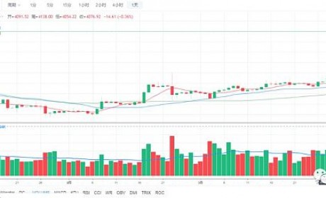 疯狂过后请理智 BCH小幅回调再涨30%实在猛0404行情分析