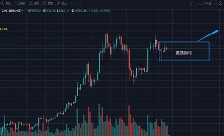 场内资金持续分化 老一批的山寨梯队或无人问津