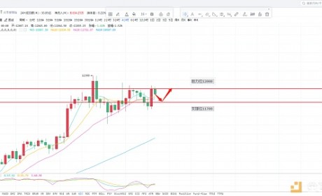 8.9BTC行情分析