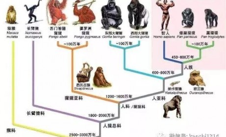 肖磊:资本主义的终结者可能是区块链技术