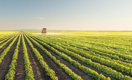 科罗拉多州提议研究农业区块链